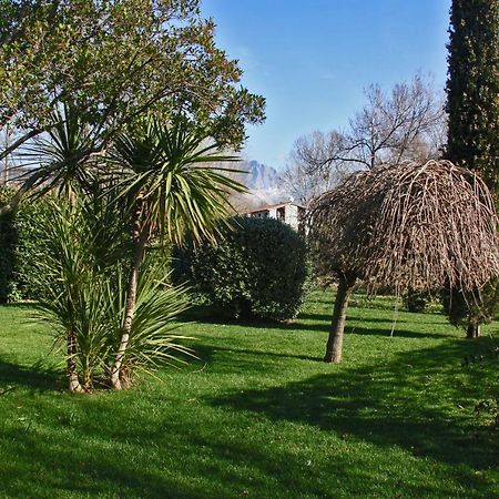 Macchia Home Marina Di Carrara Exterior photo